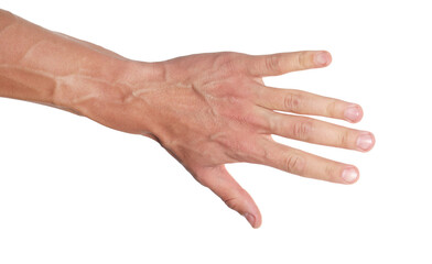 Man with bulging veins on his arm against white background, closeup