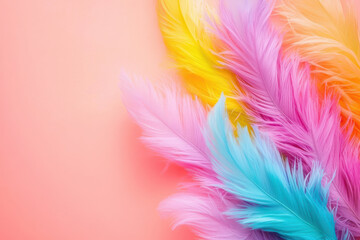 Obraz premium Colorful feathers in soft pastel tones on peach background