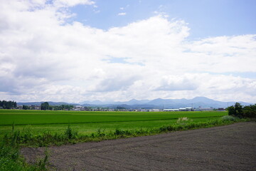 田んぼが広がる田舎の風景