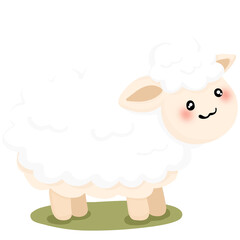 Fototapeta premium sheep and lamb