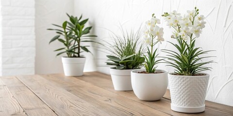 Fototapeta premium Minimalist White Potted Plants on Wooden Table, wooden table, simple design, calm atmosphere, white potted plants, minimalist decor