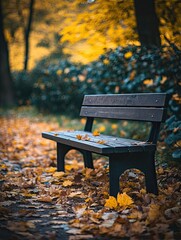 Bedroom bench isolated on autumn background