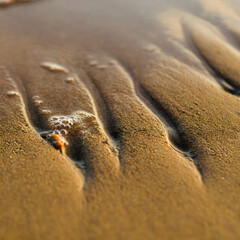 texture of sand