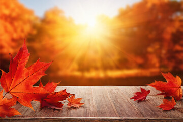 Obraz premium Autumn background scene