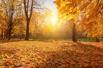 Obraz premium beautiful autumn landscape background