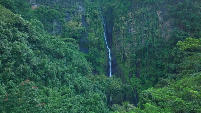 Faarumai Valley Waterfall Falls Tahiti Island French Polynesia aerial drone Vaimahuta Tiarei Hitiaa watershed picturesque river cascade dense green forest jungle mape palm trees parallax right up