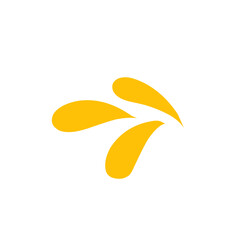 beer splash illustration