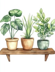 Fototapeta premium Vibrant potted plants on a wooden shelf.