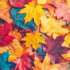 Fototapeta premium A vibrant assortment of autumn leaves in various colors on a surface.