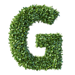 Green letter G formed by lush foliage.  Nature's alphabet!