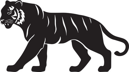 Fototapeta premium Silhouette of a tiger prowling on white background
