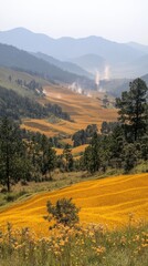 Majestic Golden Fields with Pine Trees and Rolling Hills Explored: Breathtaking Nature Landscape with Flowers and Mountain Scenery under Clear Blue Sky