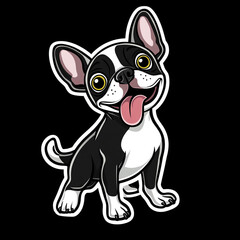 Boston Terrier Dog With One Ear Flopped Over in Cute Pose