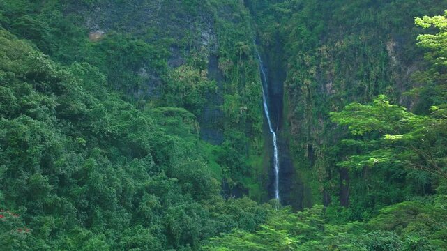 Three Waterfalls Trail Les Trios Cascades Faarumai Valley Waterfall Falls Tahiti Island French Polynesia aerial drone Vaimahuta Tiarei Hitiaa watershed jungle forest picturesque river circle right