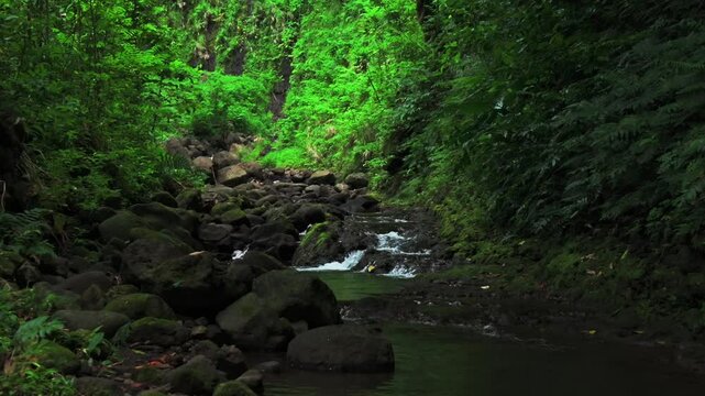 Three Waterfalls Trail Les Trios Cascades Faarumai Valley Waterfall Falls Tahiti Island French Polynesia aerial drone picturesque river Vaimahuta Tiarei Hitiaa watershed jungle forest forward motion