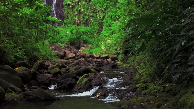Faarumai Valley Waterfall Tahiti Island French Polynesia aerial drone Three Falls Trail Les Trios picturesque river Cascades Vaimahuta Tiarei Hitiaa watershed jungle forest forward pan up motion