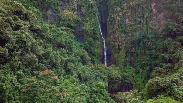 Three Waterfalls Trail Les Trios Cascades Faarumai Valley Waterfall Falls Tahiti Island French Polynesia aerial drone Vaimahuta Tiarei Hitiaa watershed jungle forest picturesque river static shot