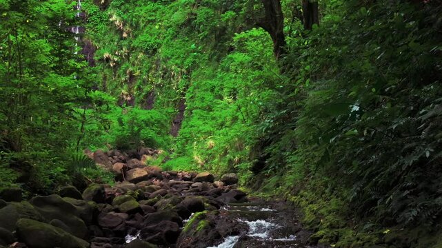 Faarumai Valley Waterfall Tahiti Island French Polynesia aerial drone Three Falls Trail Les Trios picturesque river Cascades Vaimahuta Tiarei Hitiaa watershed jungle forest backward pan down