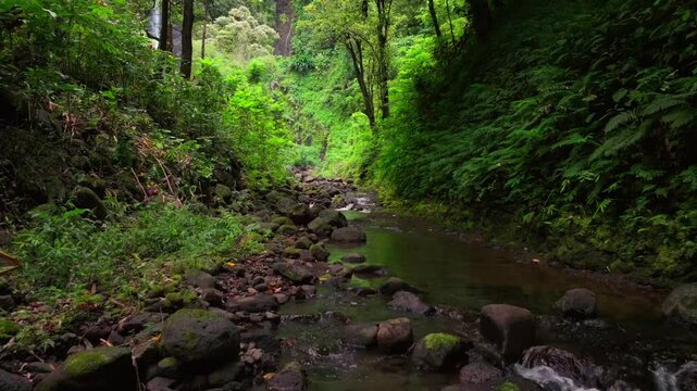 Three Waterfalls Trail Les Trios Cascades Faarumai Valley Waterfall Falls Tahiti Island French Polynesia aerial drone picturesque river Vaimahuta Tiarei Hitiaa watershed jungle forest backward motion