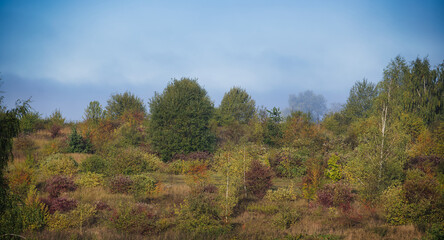 Obraz premium Serene autumn landscape with colorful trees and lush vegetation under a clear blue sky