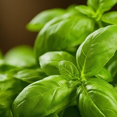 Obraz premium Fresh basil leaves close-up, showcasing vibrant green color and texture.