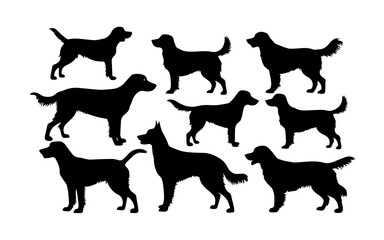 Obraz premium vector collection of dog animal silhouette illustrations