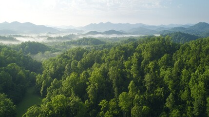 Obraz premium Lush green landscape with rolling hills and misty valleys under a blue sky.