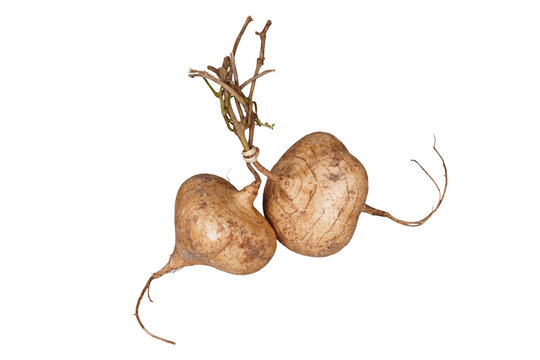 A bunch of fresh jicama isolated transparent