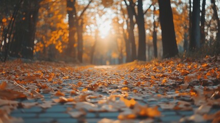 Golden Autumn Leaves on a Paved Path in a Forest