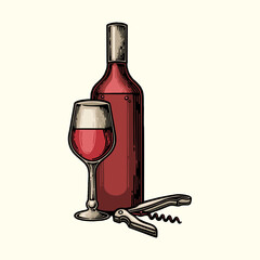 wine vector illustration