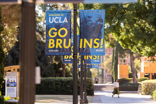 Westwood, Los Angeles, California, USA - November 16, 2024: Morning light shines on the main UCLA campus.