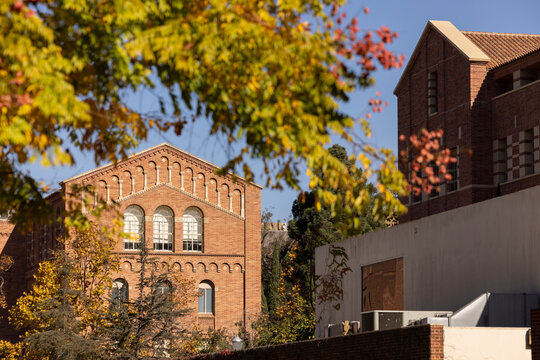 Westwood, Los Angeles, California, USA - November 16, 2024: Morning light shines on the main UCLA campus.
