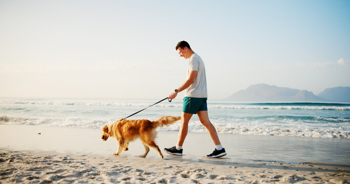 Workout, man and walking with dog at beach for fun adventure, wellness training and bonding with companion. Mockup, owner and pet on leash by ocean for cardio exercise, fresh air and exploring nature