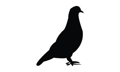 Obraz premium Pigeon Silhouette Design And Vector Illustration. 