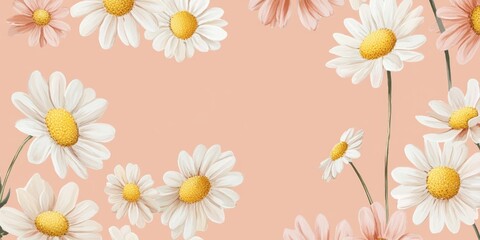 Fototapeta premium White daisies and pink flowers on a peach background.