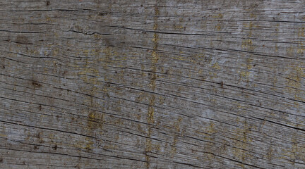 Fototapeta premium old wood texture background