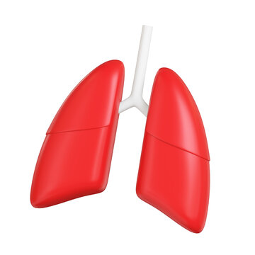 Lungs 3d icon