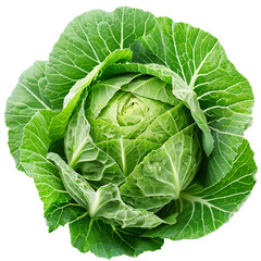 Fototapeta premium Fresh green cabbage isolated on white background