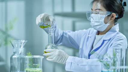 A front view of a female scientist pouring a tea tree liquid into an erlenmeyer. Modern laboratory...