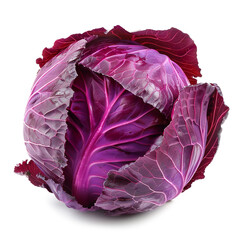Obraz premium Fresh purple cabbage transparent style on a white background