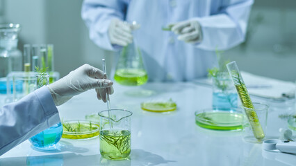 Two researchers are in the frontal view of the tea tree experiment in modern lab settings, one...