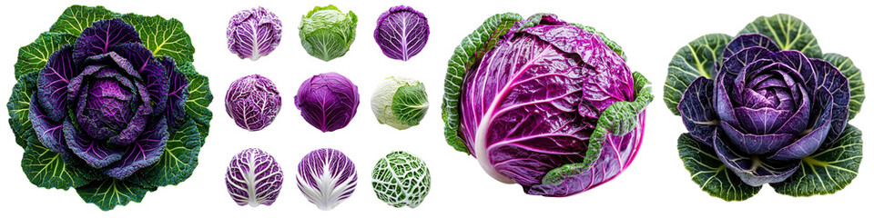 Obraz premium Cabbage isolated on white background. Collection Png.