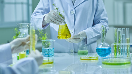 Template image shows the background of a Melaleuca experiment, with a scientist holding and...