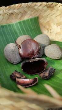 Keluak, also known as Keluwek or Keluwak or Kluwak is the seed of the Pangi or Kepayang tree ( Pangium edule ). It main spice to make Rawon Soup, Indonesian black beef soup .