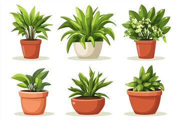 Plants in Ceramic Pots