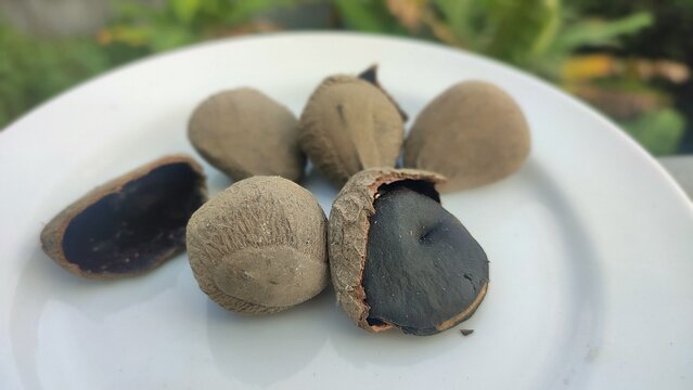 Keluak, also known as Keluwek or Keluwak or Kluwak is the seed of the Pangi or Kepayang tree ( Pangium edule ). It main spice to make Rawon Soup, Indonesian black beef soup .