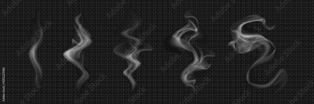 Canvas Prints white realistic smoke elements flowing on dark background. translucent curving steam shapes with mys
