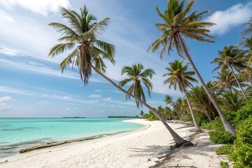 Obraz premium Palm trees stand tall on a tropical island beach with turquoise waters white sand and a relaxed atmosphere, white sand beach, relaxed atmosphere, beach foliage, palm trees, turquoise water