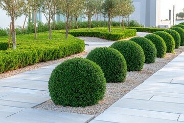 Lush Green Landscaping with Round Shrubs and Neatly Laid Pathway in Modern Outdoor Garden Setting