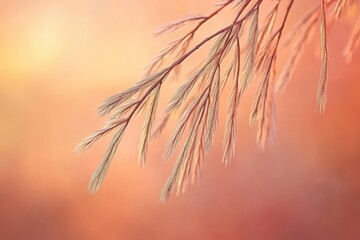 Obraz premium Serene sunset scene featuring delicate branch with feathery foliage, pastel orange background. Ideal for calming, nature-themed designs.